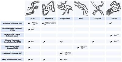 Single-domain antibodies and aptamers drive new opportunities for neurodegenerative disease research